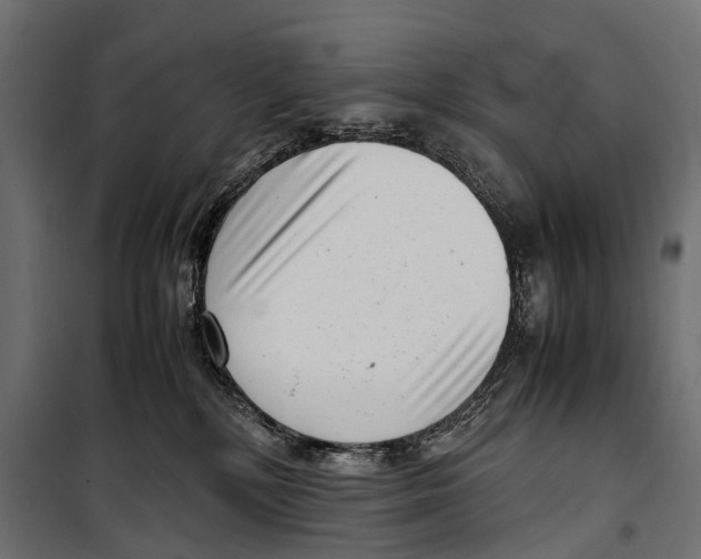 X0000099940232200806201128