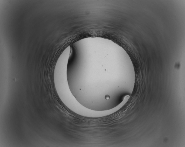 X0000099940233200806201128
