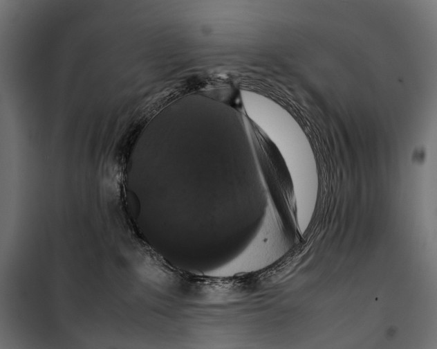 X0000099940235200806201128