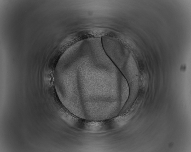 X0000099940237200806201128