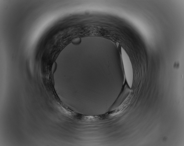 X0000099940239200806201128