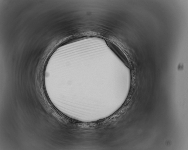 X0000099940241200806201127