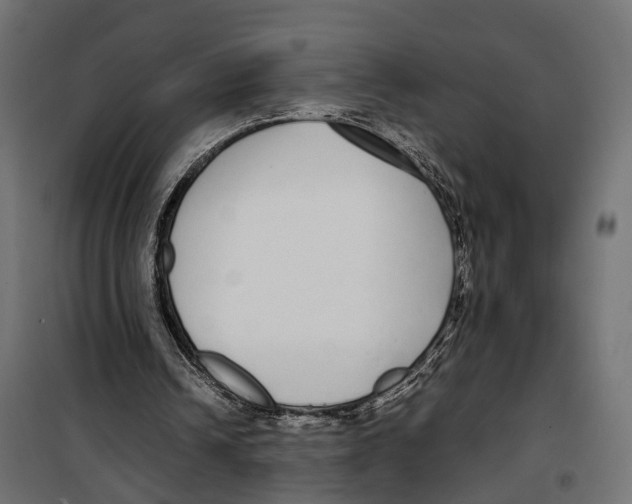 X0000099940242200806201127