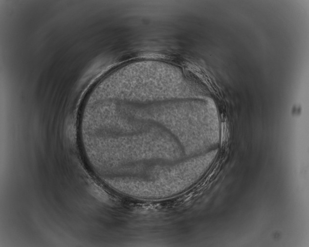 X0000099940243200806201127