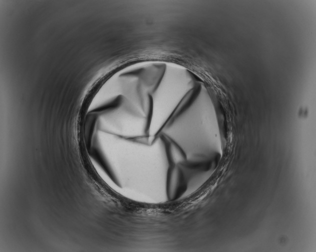 X0000099940244200806201127