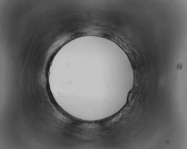 X0000099940245200806201127