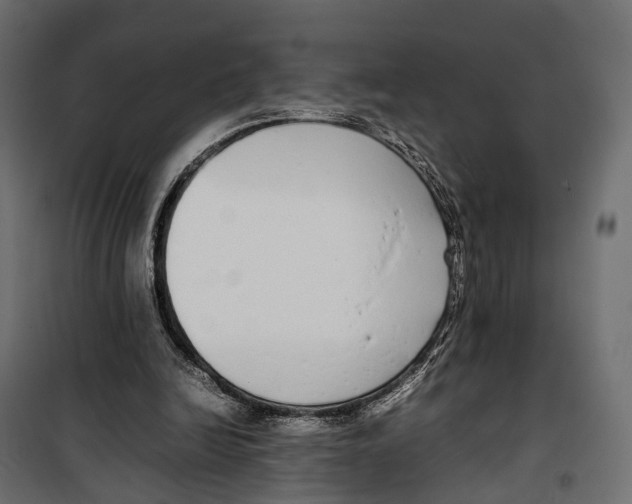 X0000099940246200806201127