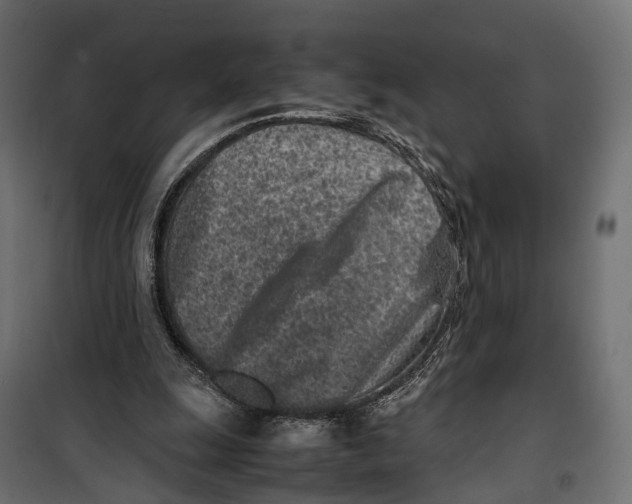X0000099940247200806201127