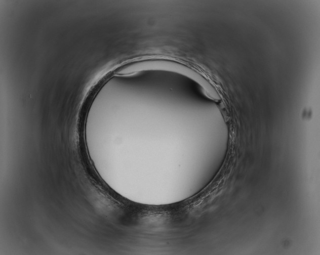 X0000099940248200806201127