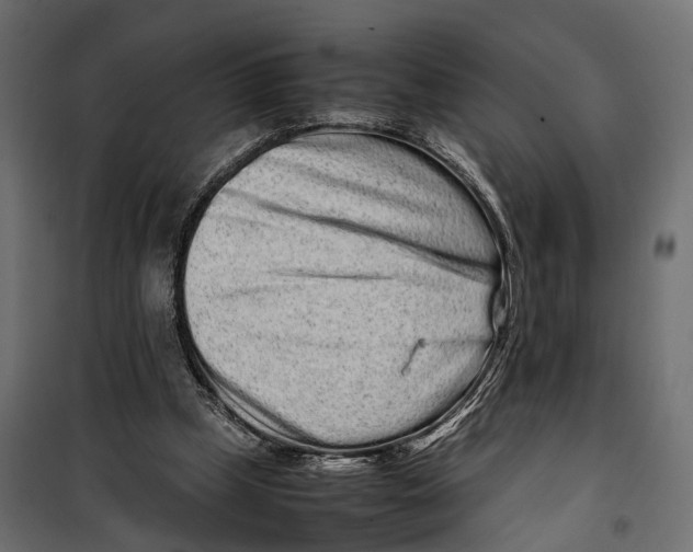 X0000099940249200806201127