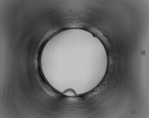 X0000099940250200806201127
