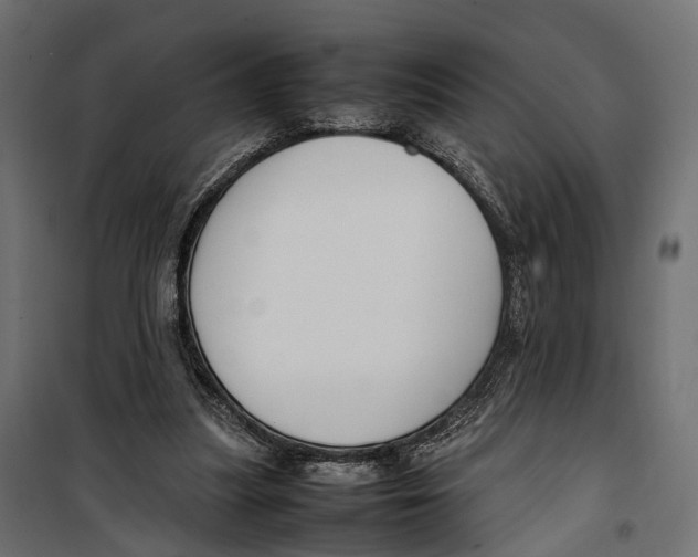 X0000099940251200806201127