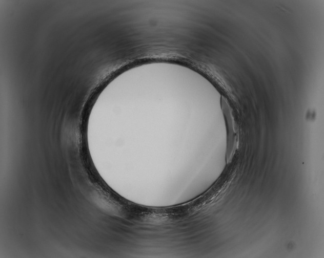 X0000099940252200806201127