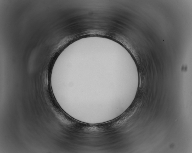 X0000099940253200806201127