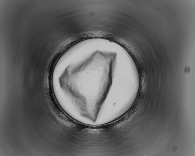 X0000099940254200806201127