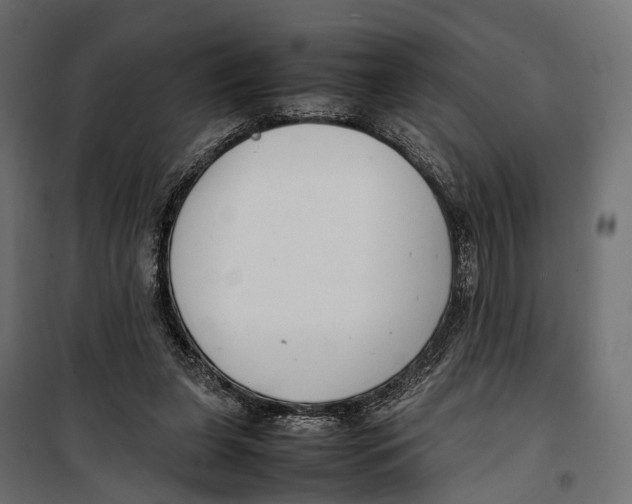X0000099940255200806201127