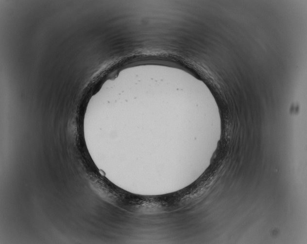 X0000099940256200806201127