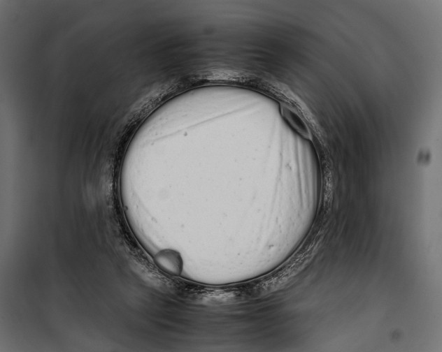 X0000099940257200806201127