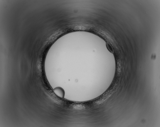 X0000099940258200806201127