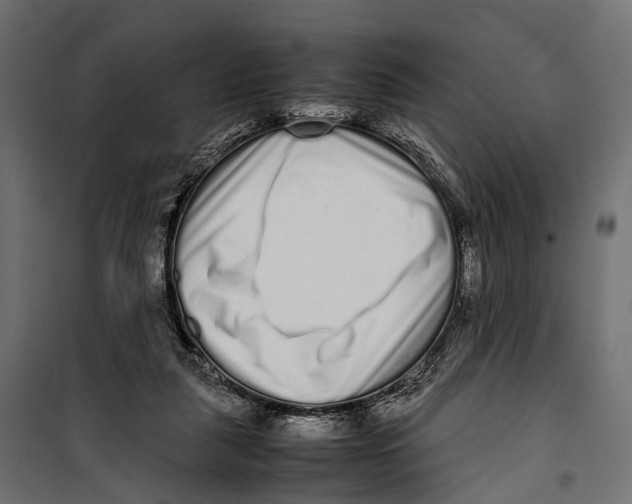 X0000099940259200806201127