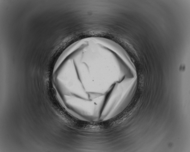 X0000099940260200806201127