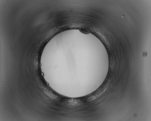 X0000099940261200806201127