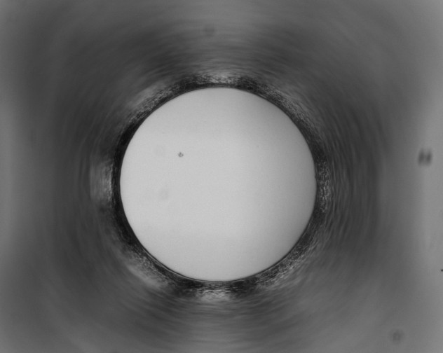 X0000099940262200806201127