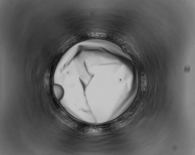 X0000099940263200806201127
