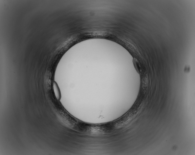 X0000099940264200806201127