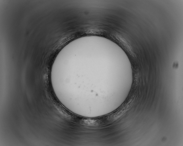 X0000099940265200806201127