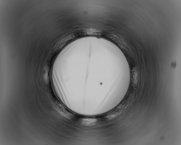 X0000099940266200806201127