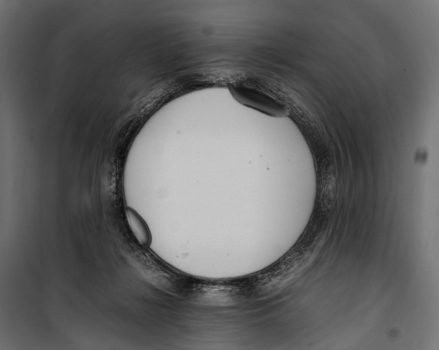 X0000099940268200806201127