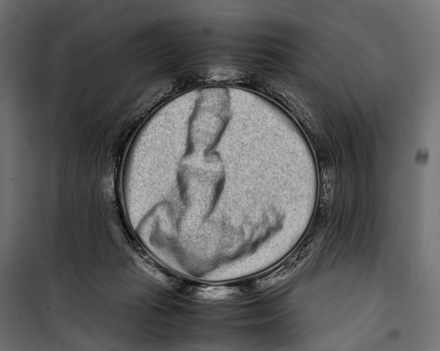 X0000099940269200806201127