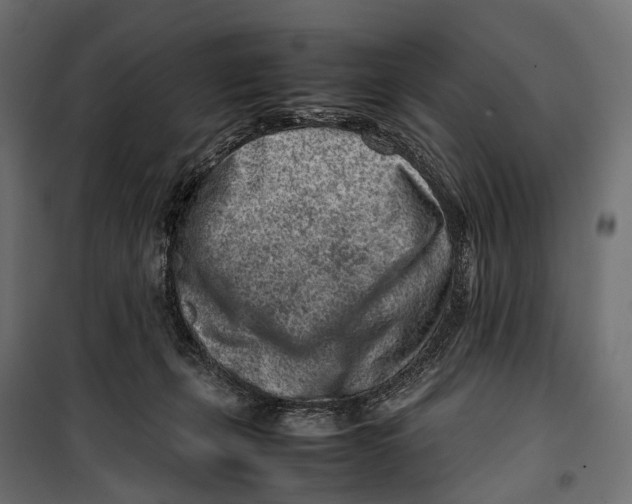 X0000099940271200806201127