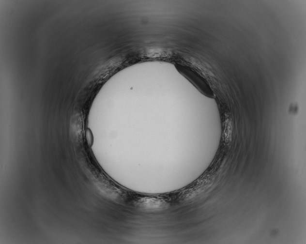 X0000099940272200806201127