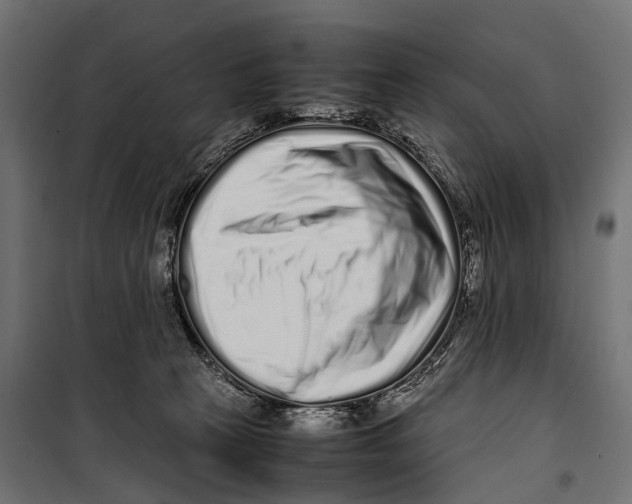 X0000099940273200806201127