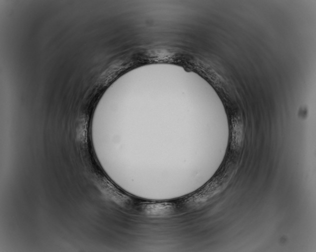 X0000099940274200806201127
