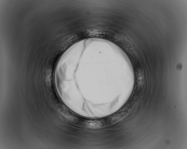 X0000099940275200806201127