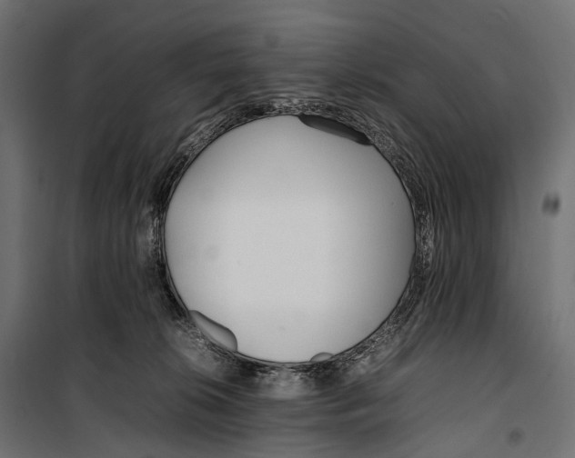 X0000099940276200806201128