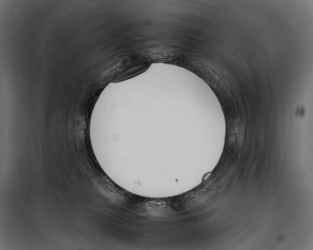 X0000099940279200806201128