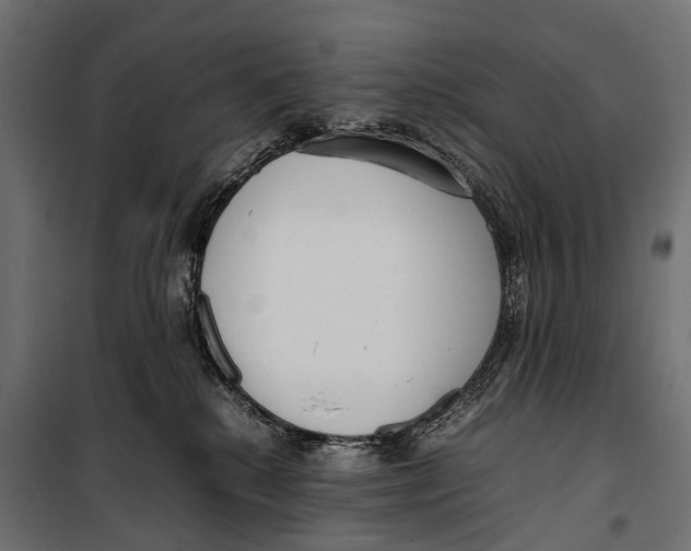 X0000099940280200806201128