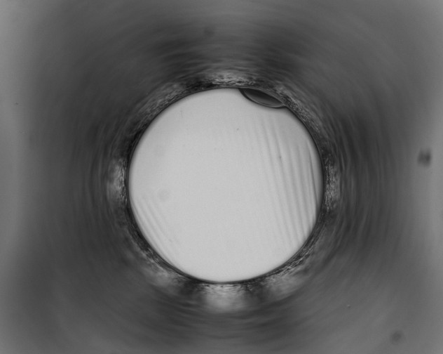 X0000099940281200806201128