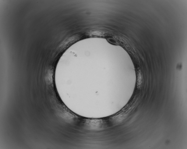X0000099940282200806201128