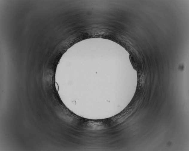 X0000099940283200806201128