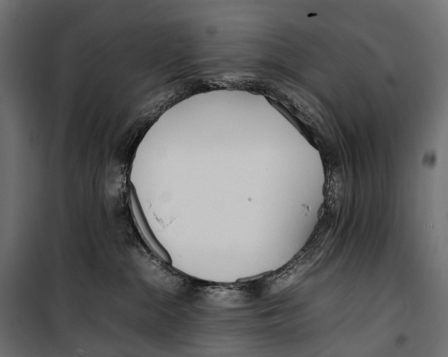 X0000099940284200806201128