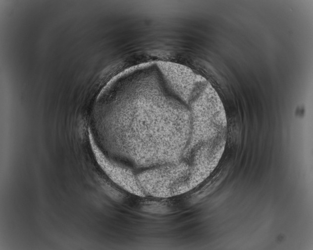 X0000099940285200806201128