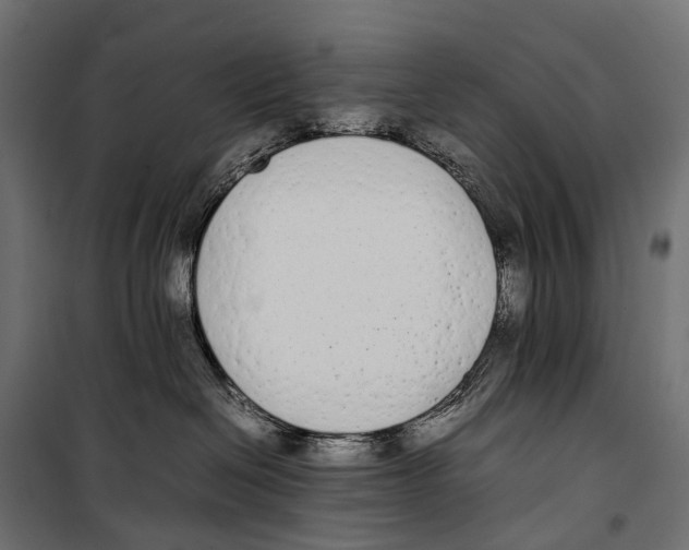 X0000099940286200806201128