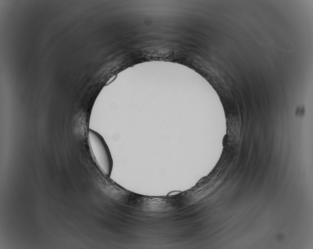 X0000099940287200806201128