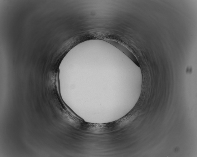 X0000099940288200806201128