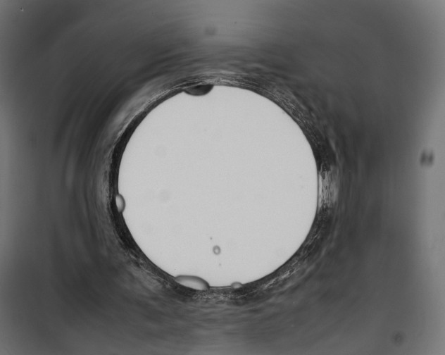 X0000099940291200806201127
